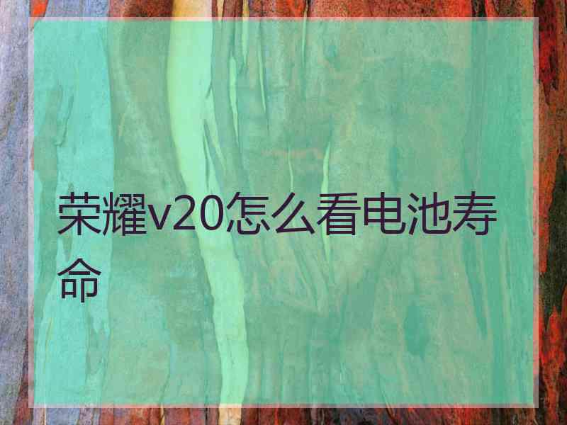 荣耀v20怎么看电池寿命