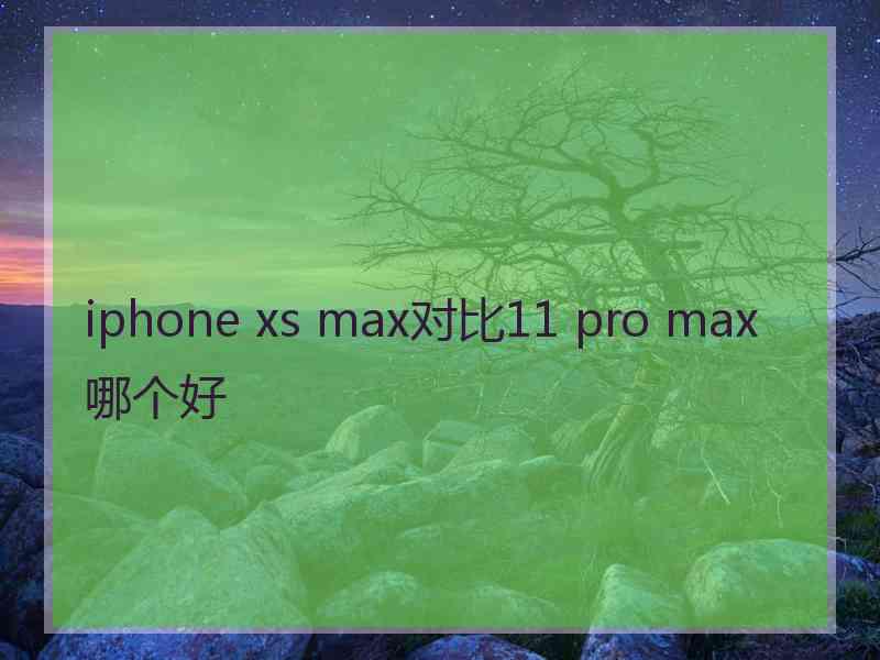 iphone xs max对比11 pro max哪个好