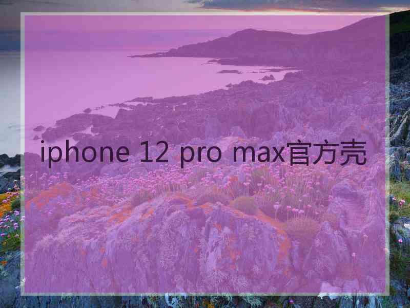 iphone 12 pro max官方壳