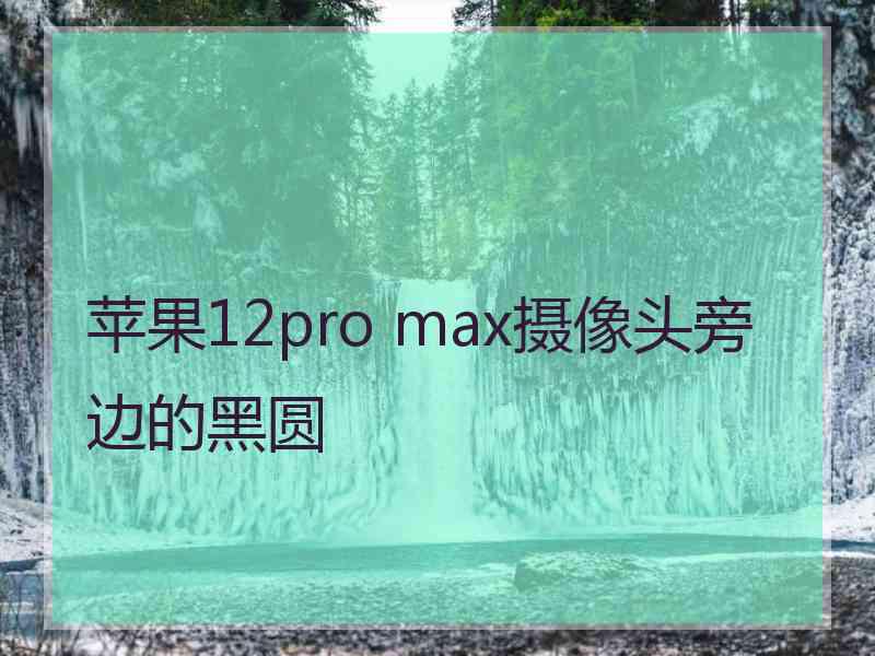 苹果12pro max摄像头旁边的黑圆