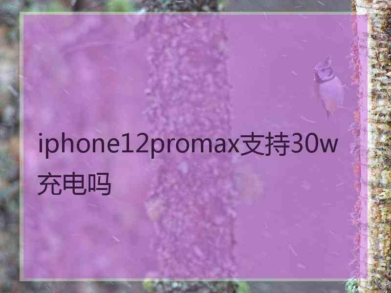 iphone12promax支持30w充电吗