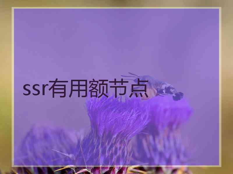 ssr有用额节点