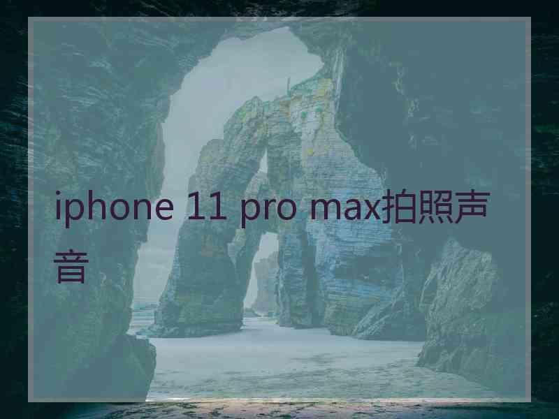 iphone 11 pro max拍照声音