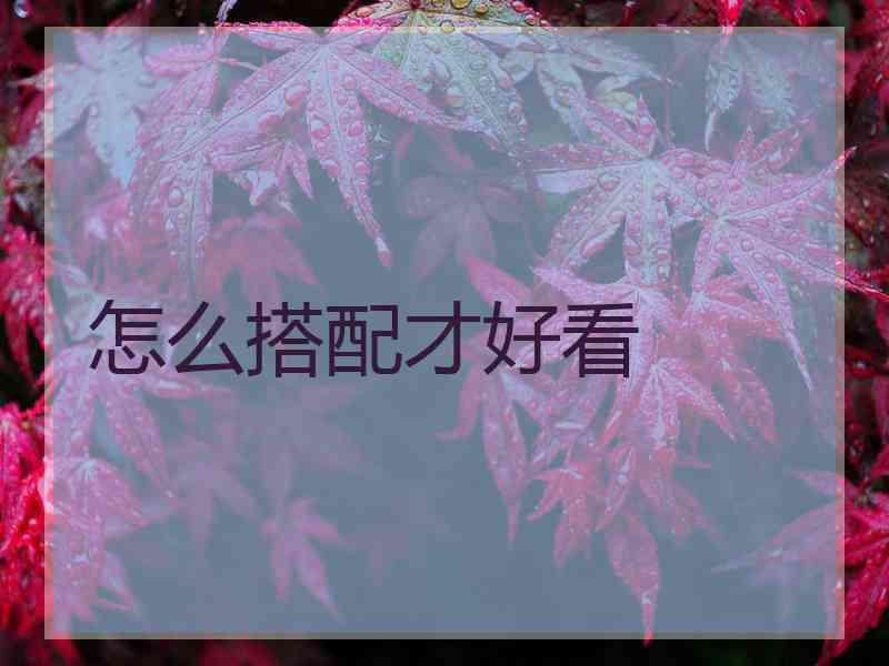 怎么搭配才好看