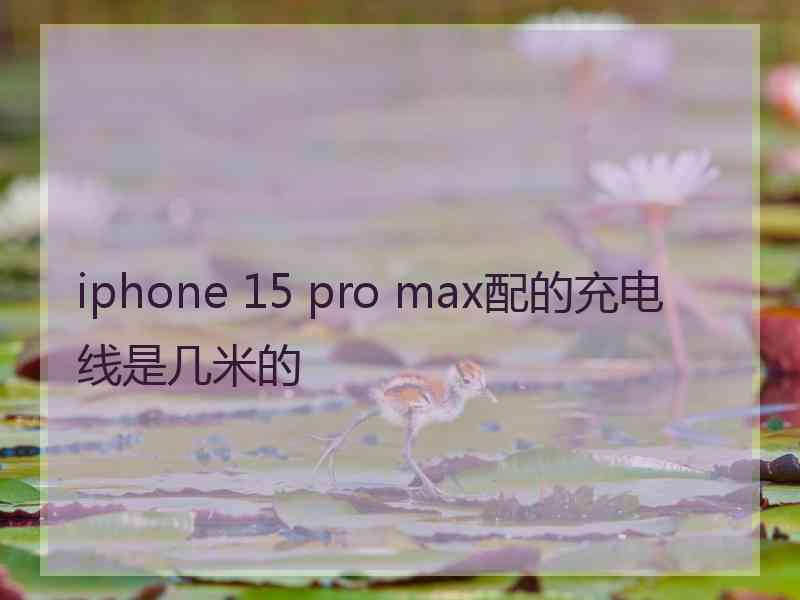 iphone 15 pro max配的充电线是几米的