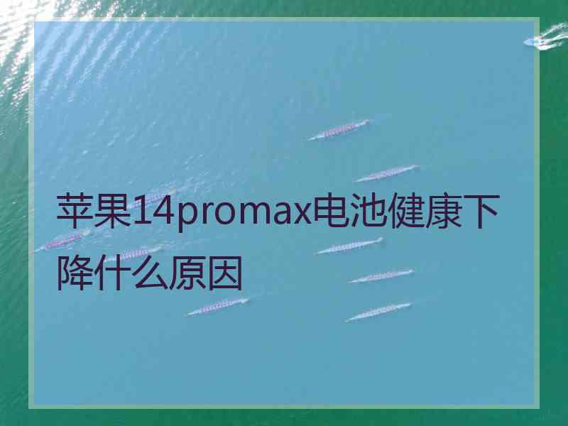 苹果14promax电池健康下降什么原因