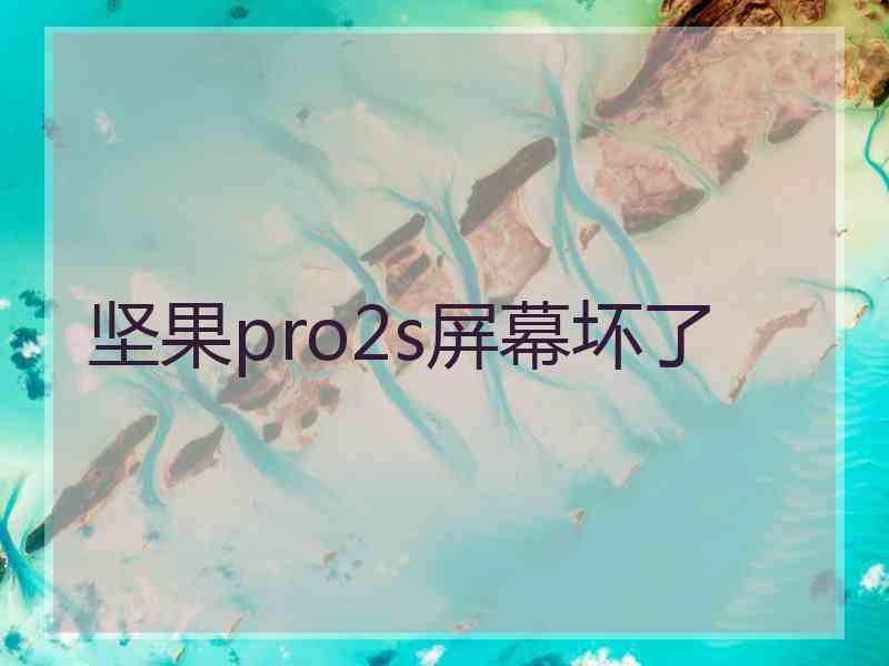 坚果pro2s屏幕坏了