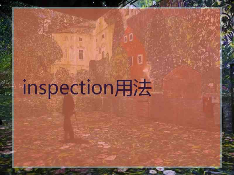 inspection用法