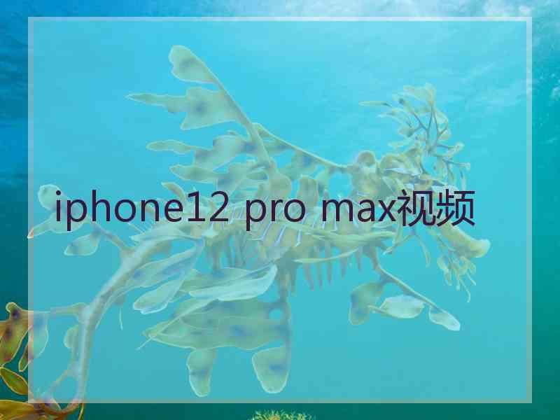 iphone12 pro max视频