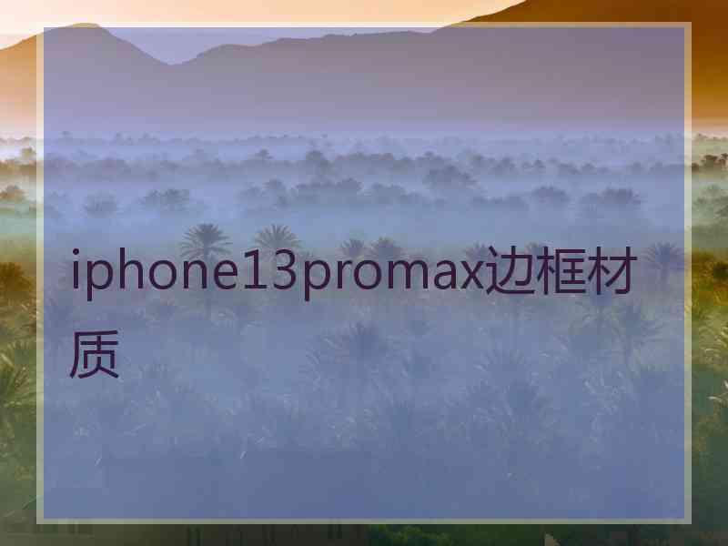 iphone13promax边框材质