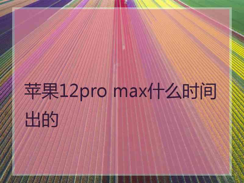 苹果12pro max什么时间出的