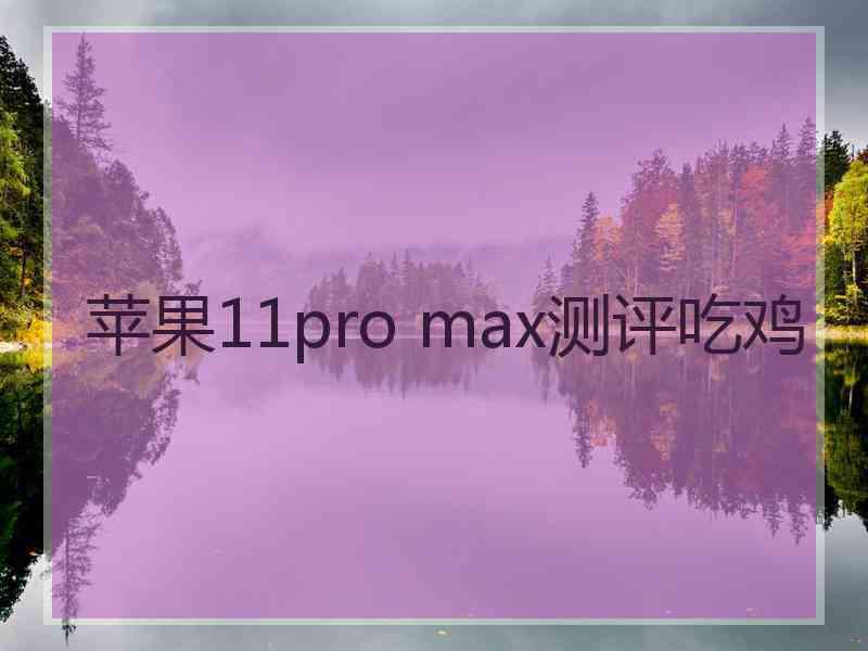 苹果11pro max测评吃鸡