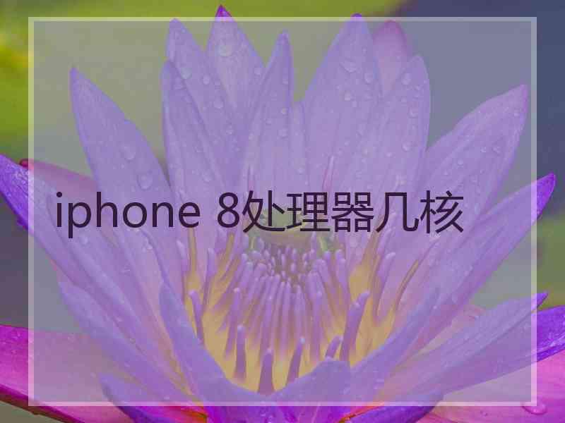 iphone 8处理器几核