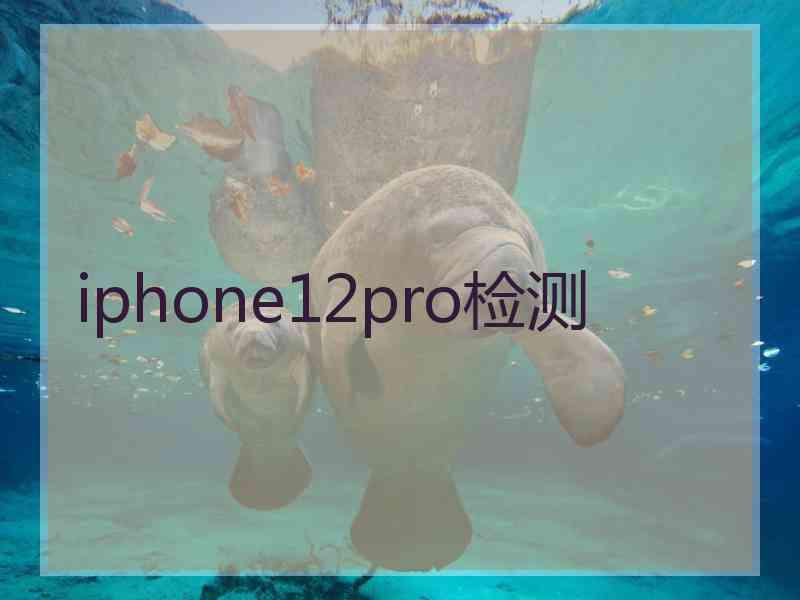 iphone12pro检测