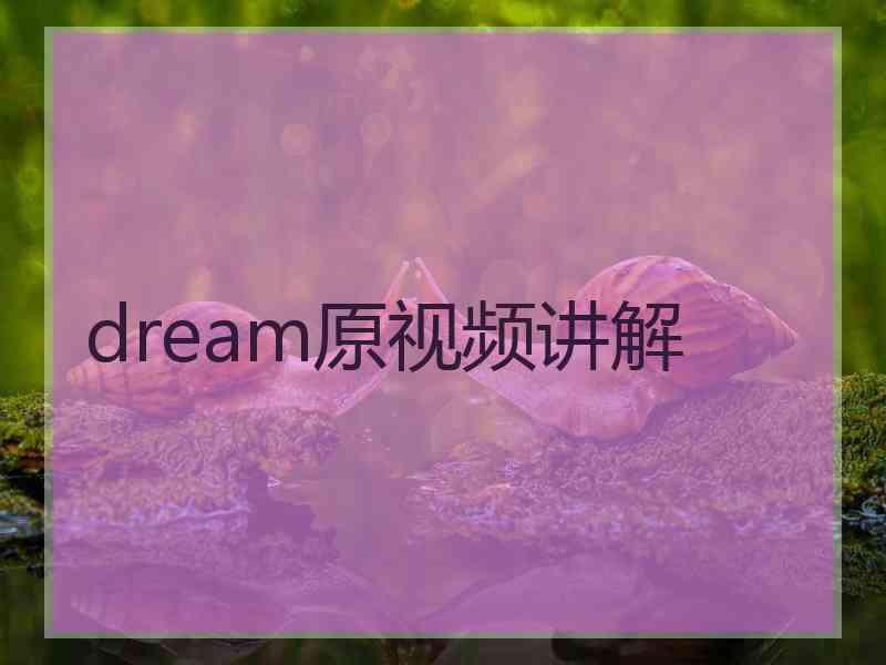 dream原视频讲解