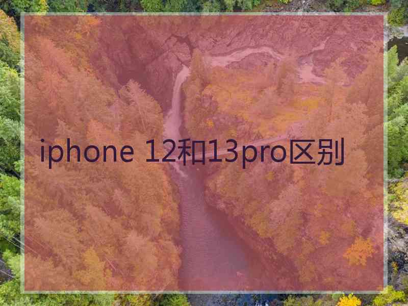 iphone 12和13pro区别