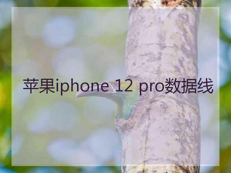 苹果iphone 12 pro数据线