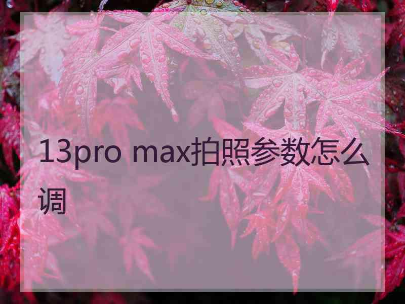 13pro max拍照参数怎么调