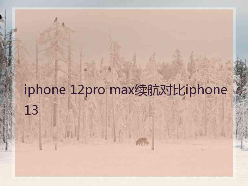 iphone 12pro max续航对比iphone 13