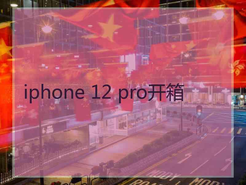 iphone 12 pro开箱