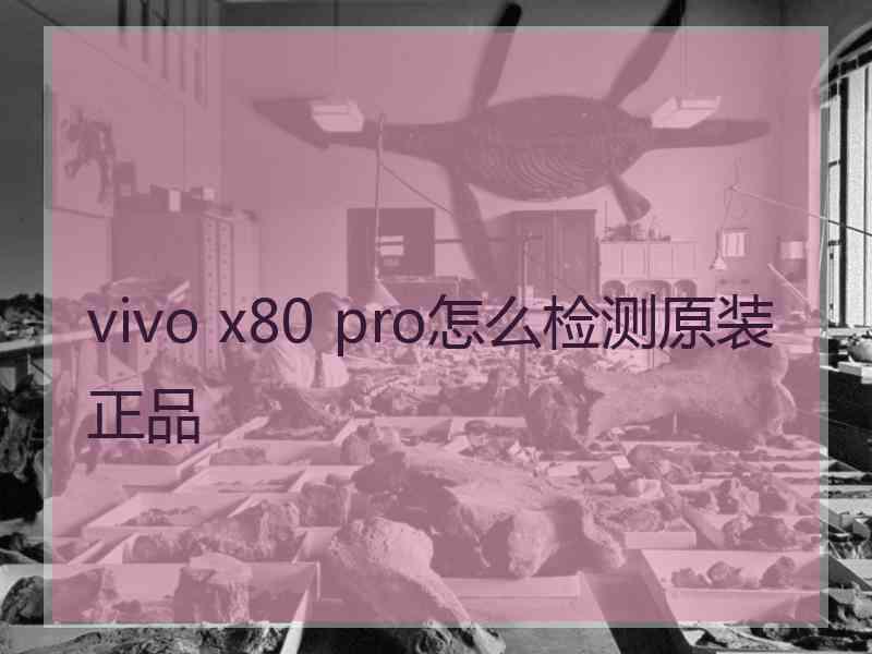 vivo x80 pro怎么检测原装正品