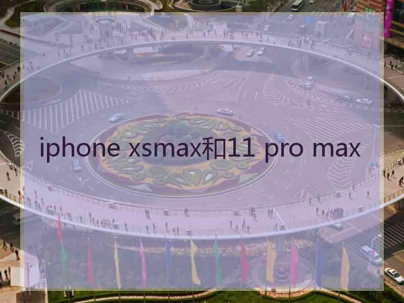 iphone xsmax和11 pro max