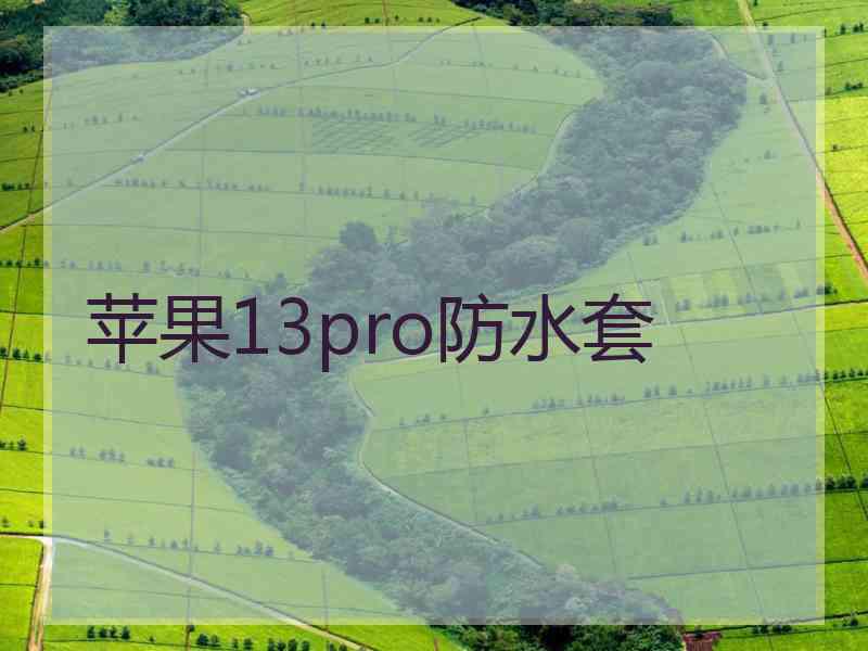 苹果13pro防水套