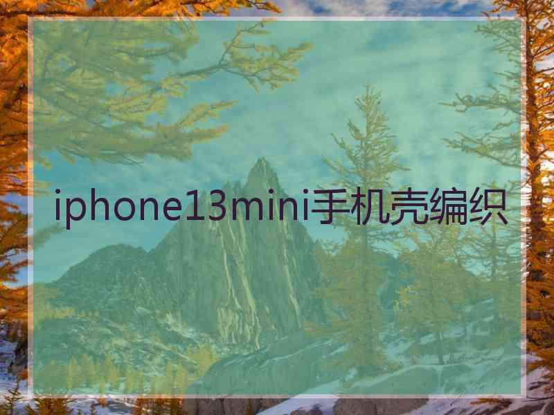 iphone13mini手机壳编织