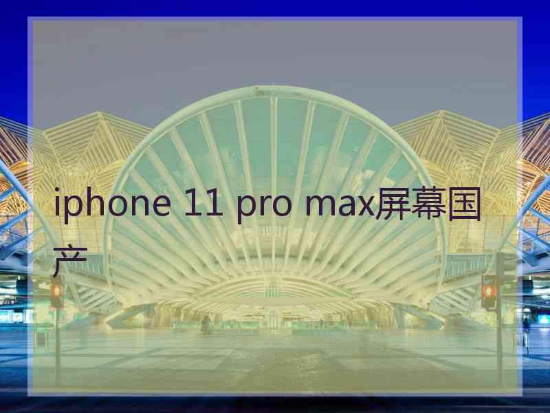 iphone 11 pro max屏幕国产