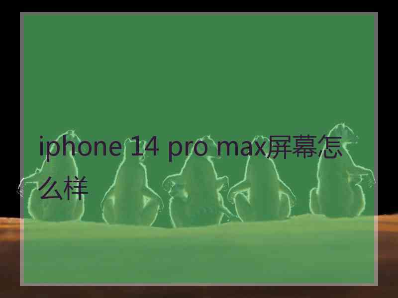 iphone 14 pro max屏幕怎么样