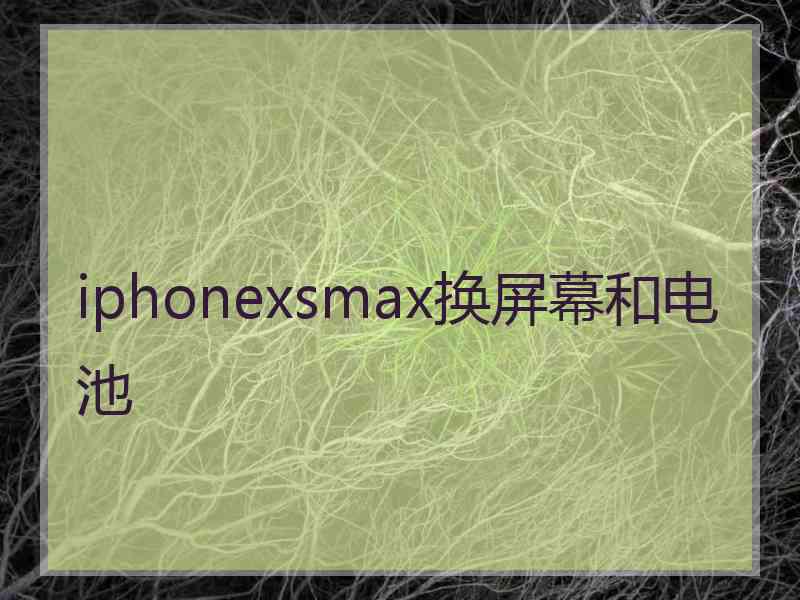 iphonexsmax换屏幕和电池