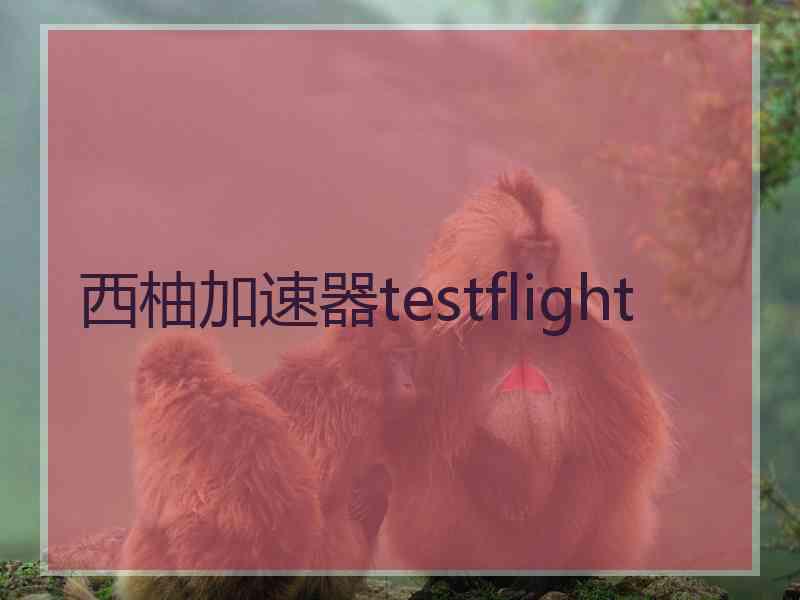 西柚加速器testflight