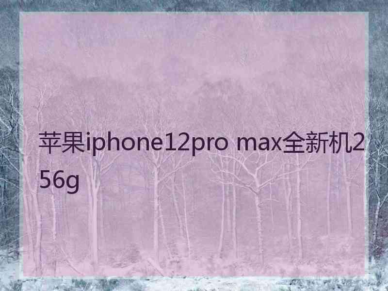 苹果iphone12pro max全新机256g