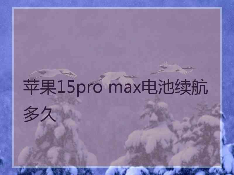 苹果15pro max电池续航多久