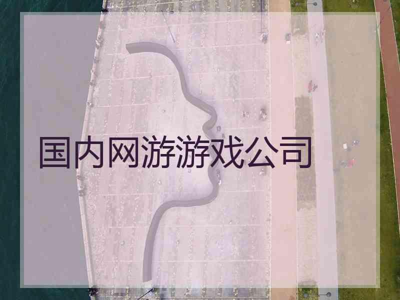 国内网游游戏公司