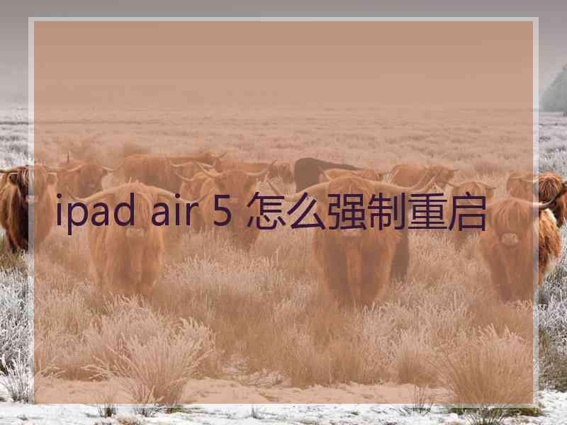 ipad air 5 怎么强制重启