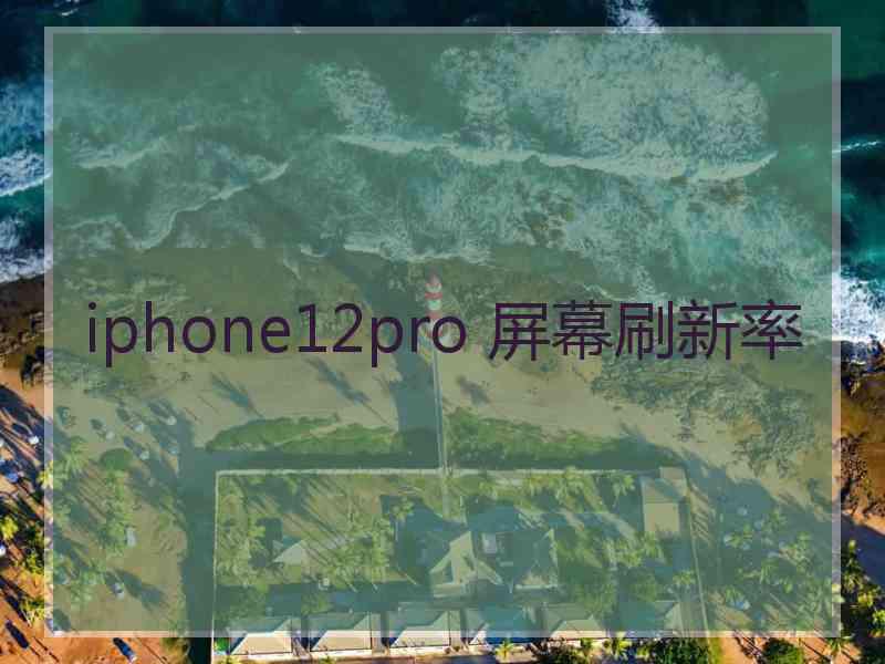 iphone12pro 屏幕刷新率