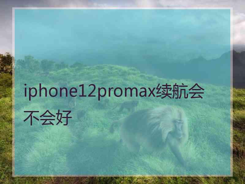 iphone12promax续航会不会好