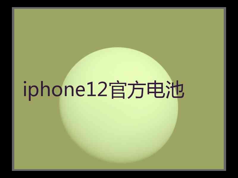 iphone12官方电池