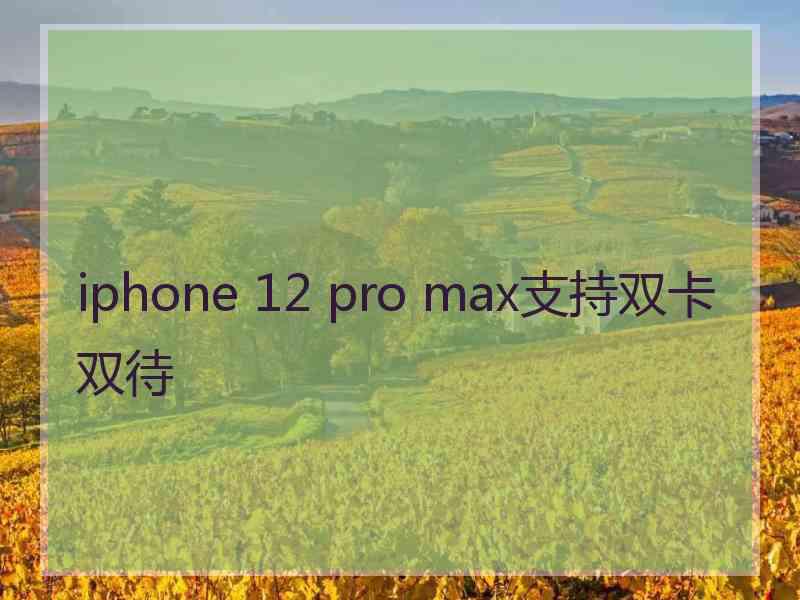 iphone 12 pro max支持双卡双待