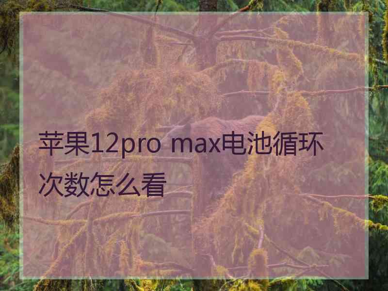 苹果12pro max电池循环次数怎么看