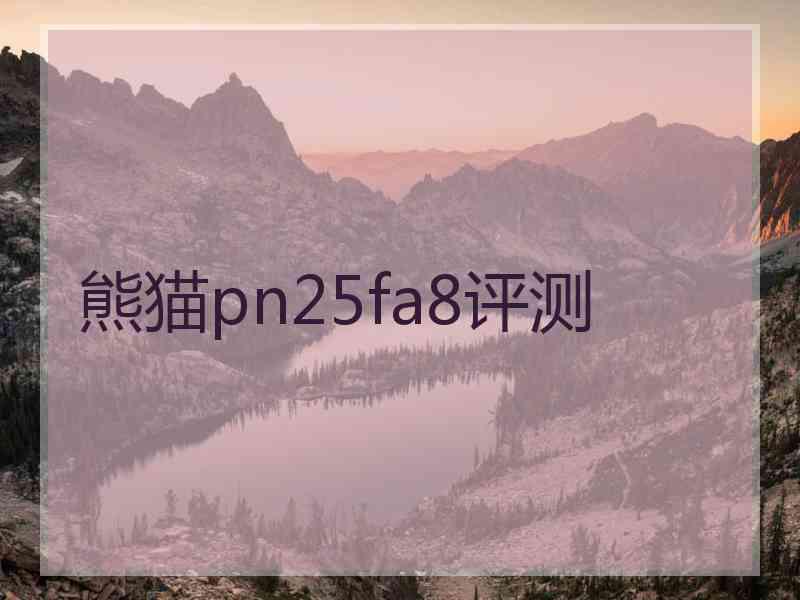 熊猫pn25fa8评测