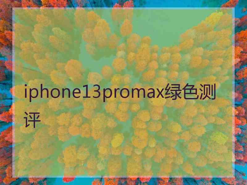 iphone13promax绿色测评