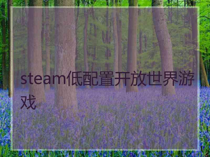 steam低配置开放世界游戏