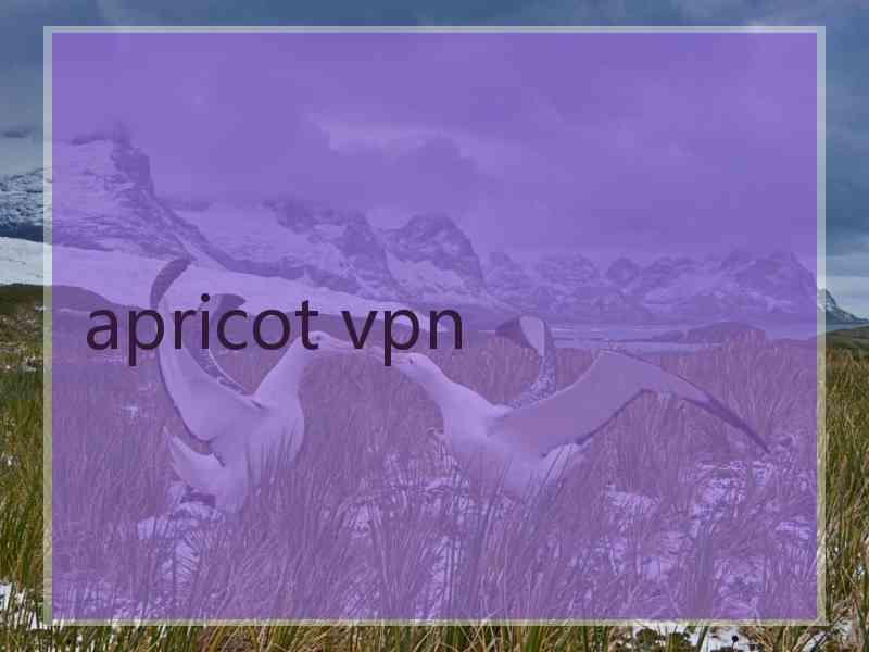 apricot vpn