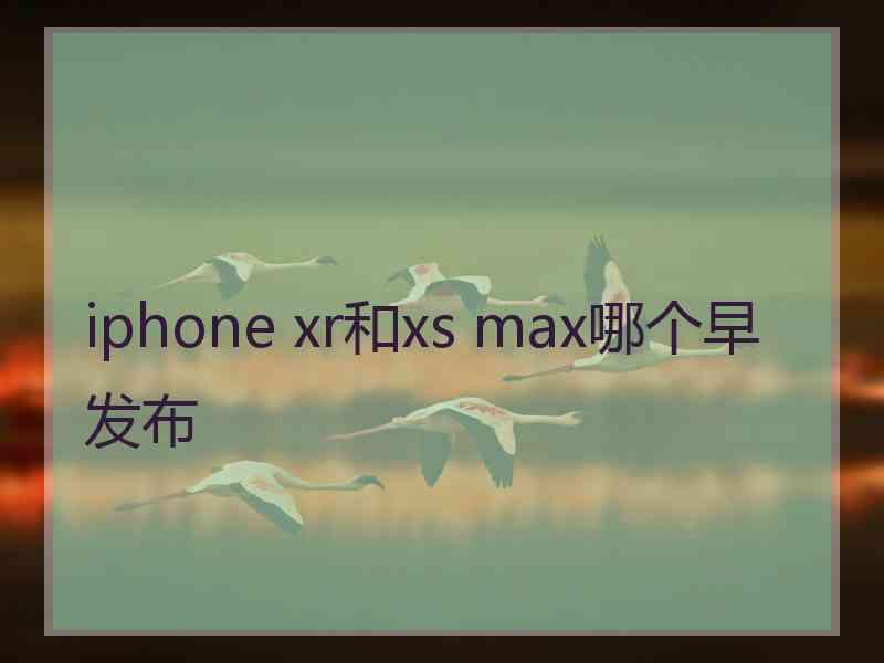 iphone xr和xs max哪个早发布