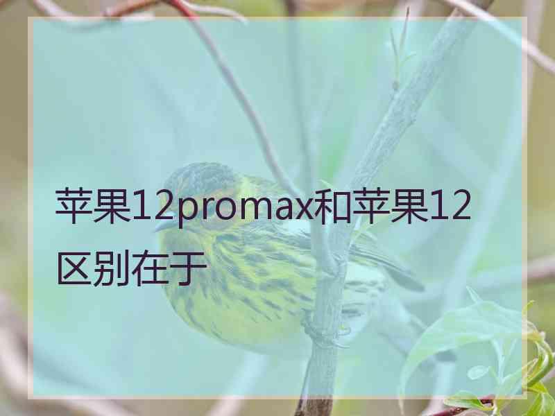 苹果12promax和苹果12区别在于