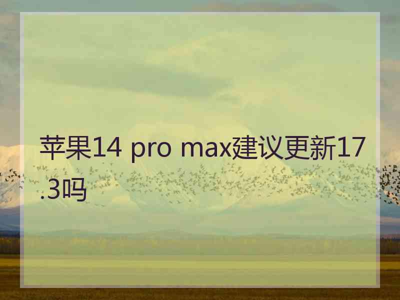 苹果14 pro max建议更新17.3吗