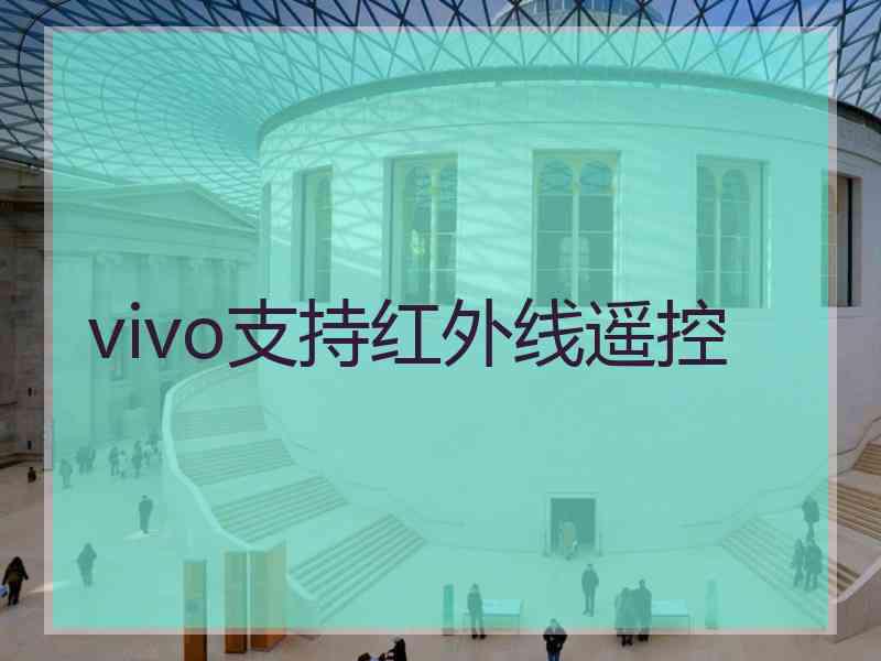 vivo支持红外线遥控