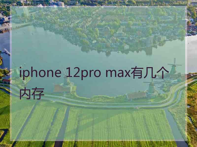 iphone 12pro max有几个内存